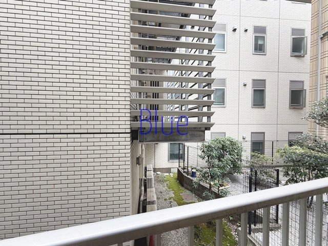 【展望】 | La jolla Fujisawa