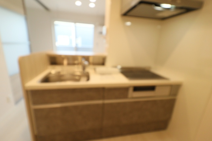 palacio Aのキッチン|対面システムキッチン（3口IH、グリル、浄水器付き）