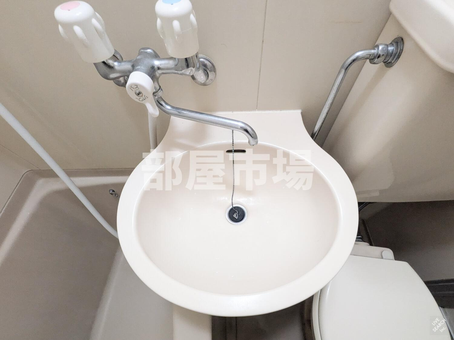 ロアール新大塚の洗面所