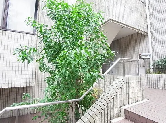 松涛ファイブのその他共用部分