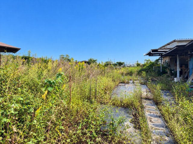 坂東市生子中古戸建の庭