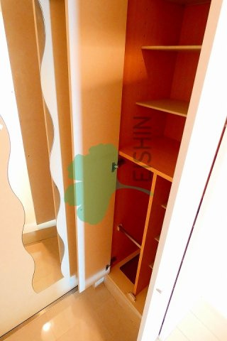 No.70　HARBOR SOUTH TOWER(No.70　ハーバーサウスタワー)の玄関|下駄箱もしっかりついてます！