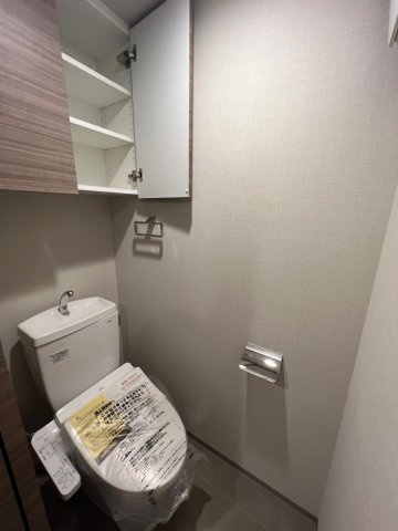 DIPS東十条駅前RESIDENCEの収納|収納豊富です