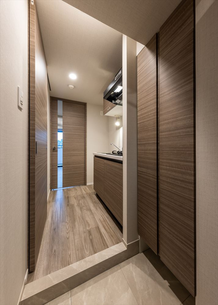 DIPS東十条駅前RESIDENCEの玄関|玄関です