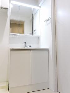 ラシーネ ONE PARK PLACE IIIの洗面所