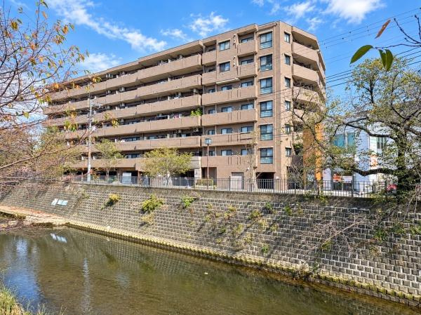 ナイスエスアリーナ弘明寺のその他|大岡川沿いに佇む、落ち着いた色合いのタイル張りマンション。川沿いの桜並木が、季節ごとに違った表情を見せてくれます。駅や商店街の便利さと、身近に豊かな自然を感じられる住環境を兼ね備えた住まいです。