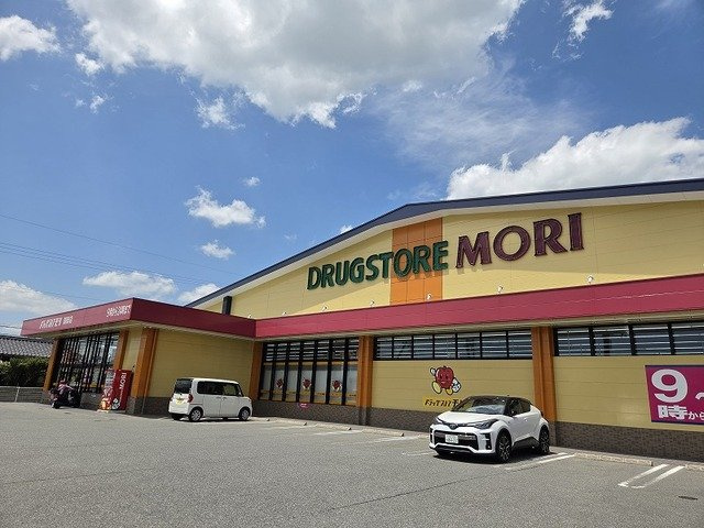 ラ・ルーチェの周辺|ドラッグストアモリ国衙店まで500m