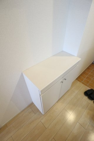 フォンターナ・フェリオのその他