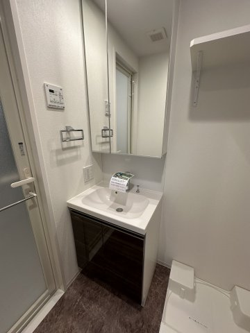 プラシア蒲田 ＴＨＥ ＧＲＡＮＤ ＲＥＳＩＤＥＮＣＥの洗面所|広い洗面スペース