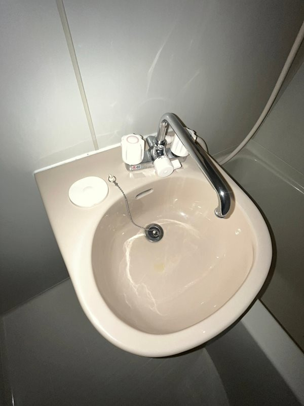 サルナートいずみの洗面所
