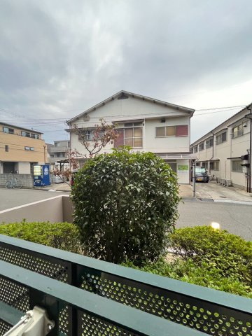 ドムストリアの展望