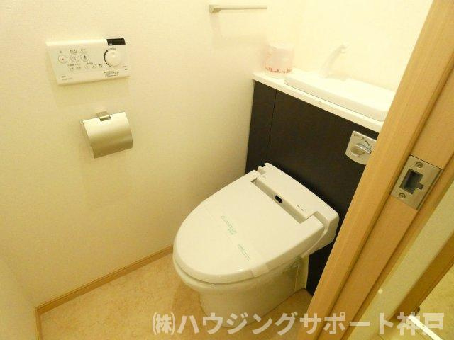 メゾン・ド・リアンⅢのトイレ