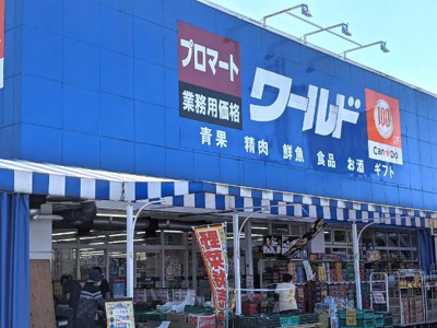 【周辺】 | ピア・シティー | プロマート橋本店まで322ｍ