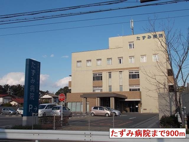 エスペランサ浜の宮Ⅱの周辺|たずみ病院まで900m