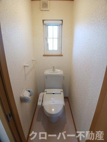 こむぎはいつ　Ｂのトイレ