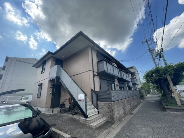 SOL.LEVANTEⅥ