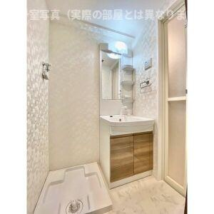 S-RESIDENCE大曽根駅前の洗面所