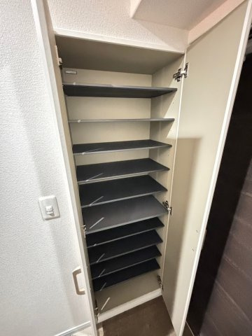ラシュール・イン大橋南の収納