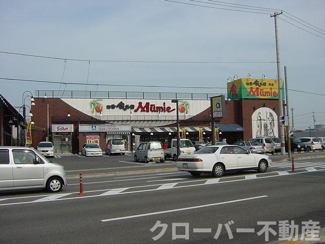 ファインパストラルの周辺|ムーミー（スーパー）まで800ｍ