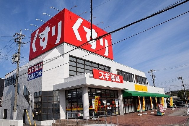 サンリット　リバーの周辺|スギ薬局 名和店まで1200m