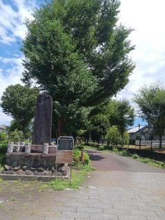 ネオスプリングの周辺|公園まで100m