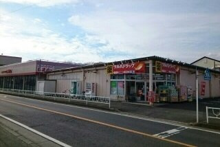 セレジェイラの周辺|ツルハドラッグまで540m