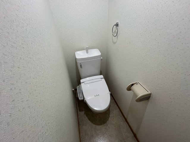 グリーンマンションのトイレ
