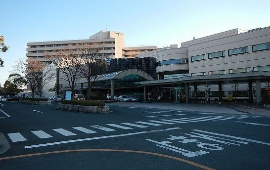 ブリーズ・フルールの周辺|豊橋市民病院まで1700m