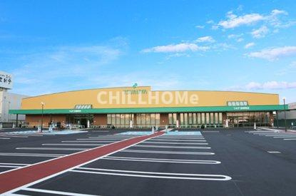 フリューゲルⅡの周辺|ツルヤ前橋南店まで950m
当社、チルホームのHPもご覧ください(^^)/物件情報多数♪