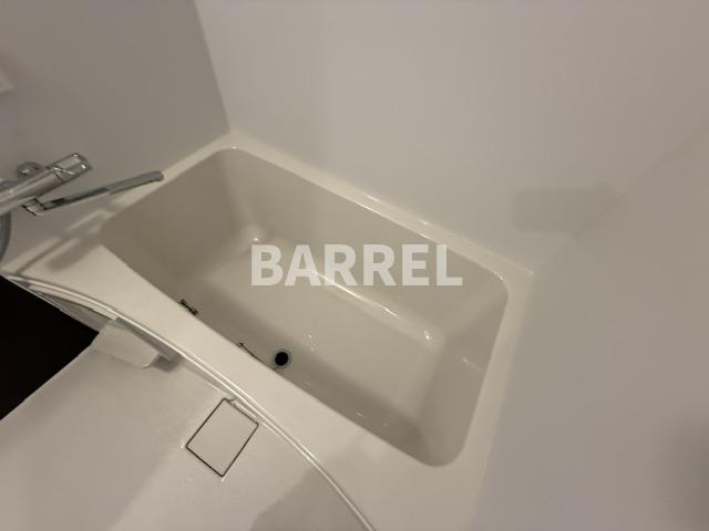 Louis Apartment豊中蛍池ウエストの浴室