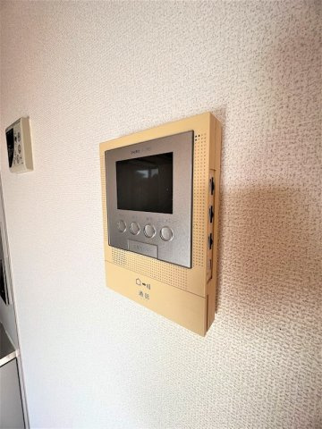 ベルヴェデール のその他