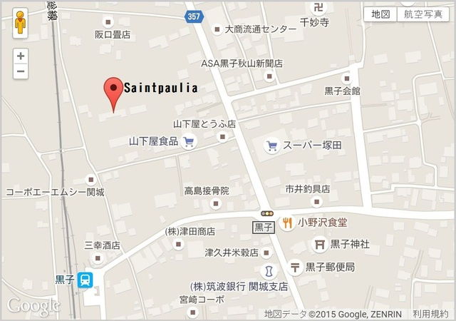 Ｓａｉｎｔｐａｕｌｉａ（セントポーリア） のその他