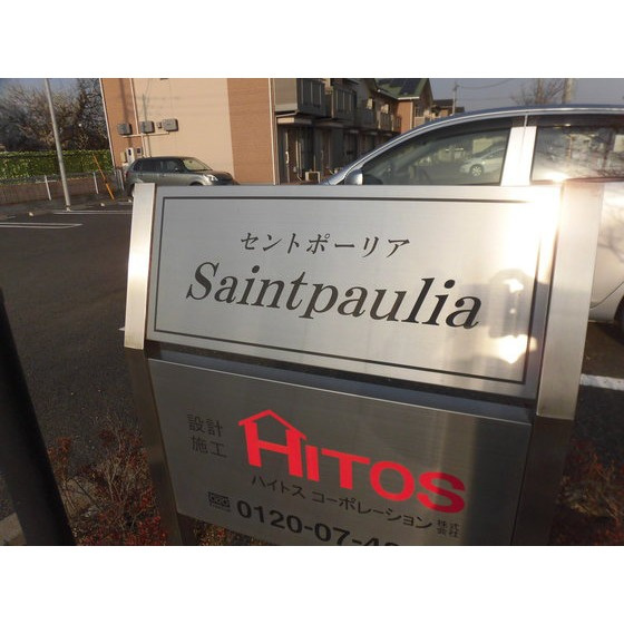 Ｓａｉｎｔｐａｕｌｉａ（セントポーリア） の周辺