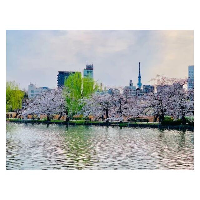 BrilliaTower上野池之端の展望