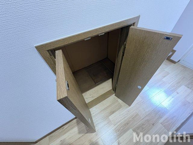 サラセニアのその他