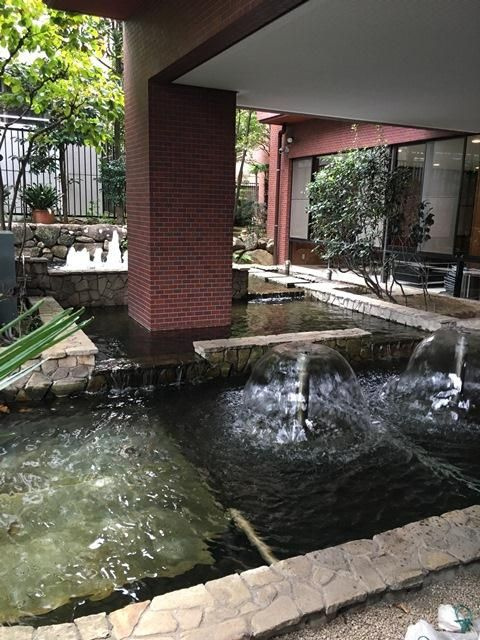 渋谷美竹ハイムの庭