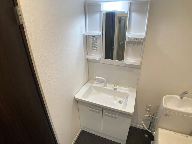 大谷町3丁目貸家の洗面所|シャワー付きの洗面台
