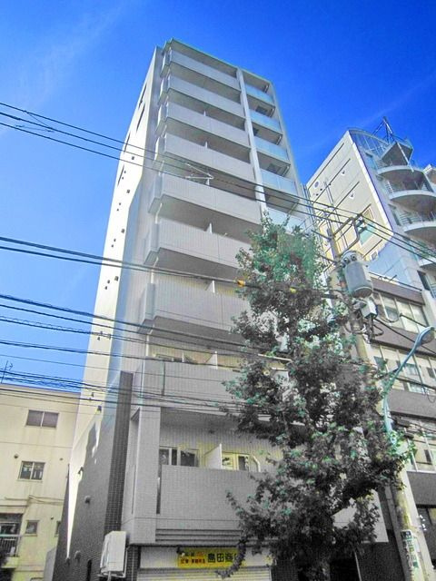 グランディールY.S. の画像