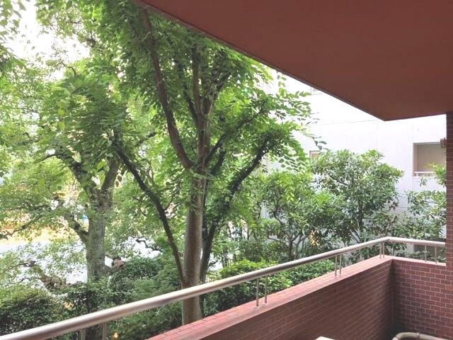 渋谷美竹ハイムの展望