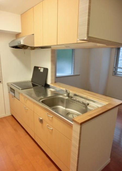 文京区千駄木５丁目の賃貸マンションのキッチン