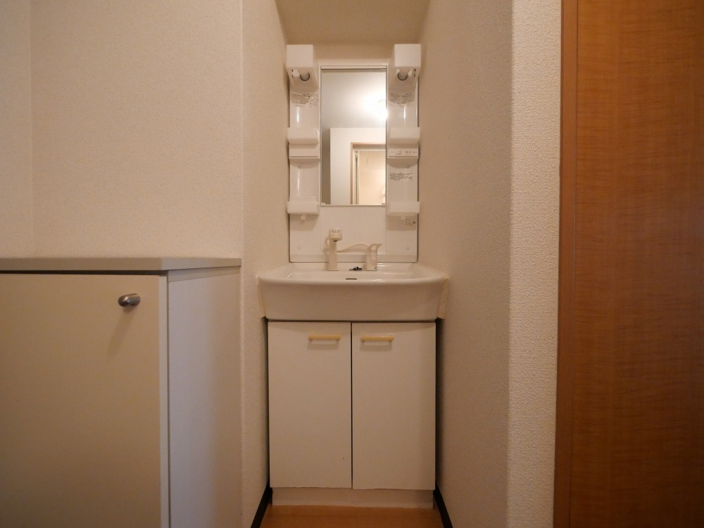 大阪市中央区島之内１丁目の賃貸マンションの洗面所