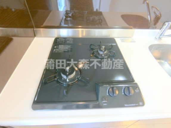 ゴールドレジデンシア多摩川のキッチン