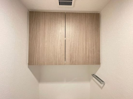 DIPS東十条駅前PREMIUMの収納