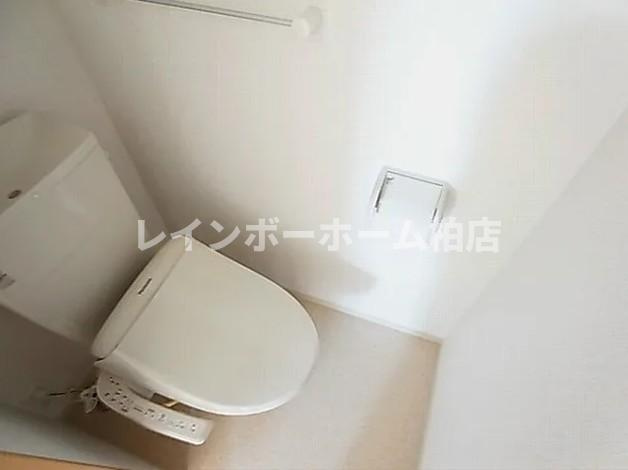 特典：仲介手数料が50％OFFです‼のトイレ|温水洗浄便座です