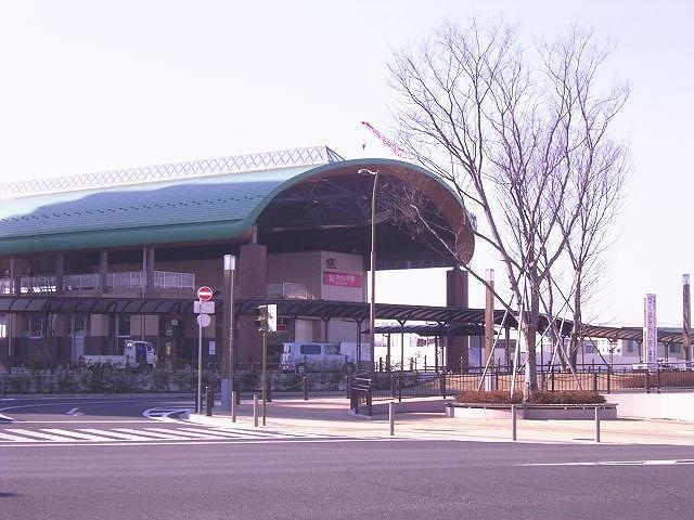 Pinoのその他