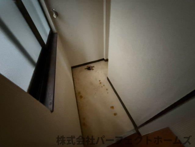【その他】の画像