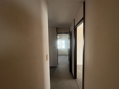 羽川戸建