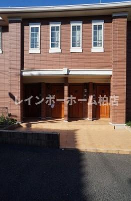 特典：仲介手数料が50％OFFです‼のエントランス|落ち着いたエントランスです
