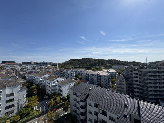 エルタウン学園5の展望