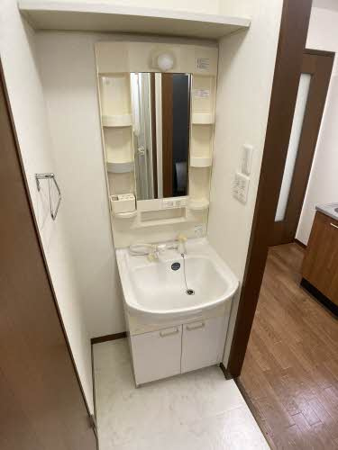 コーポ錦の洗面所